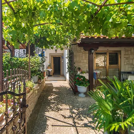 Guest house Vilma 3*